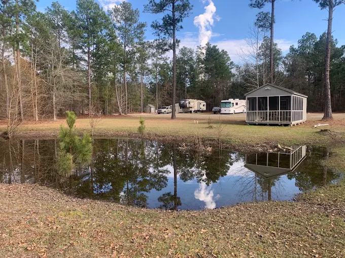 A dog on the gravel drive looking across open grass toward the pond, a screened building, and the pine woods beyond