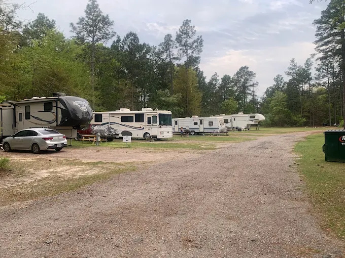 RVs and fifth wheels parked along the gravel road at Tiny Woods Campground, with pine woods behind them